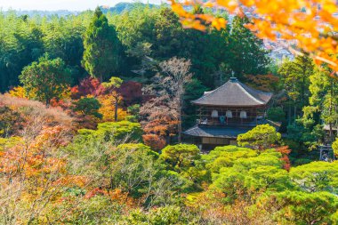 Gümüş Pavilion Ginkakuji Tapınağı'nda güzel mimari