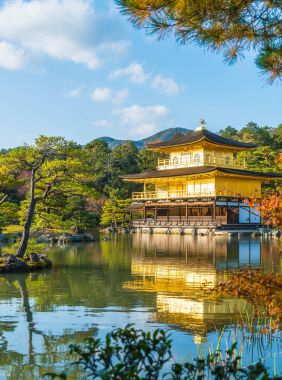 Kinkakuji Tapınağı (altın köşk güzel mimari)