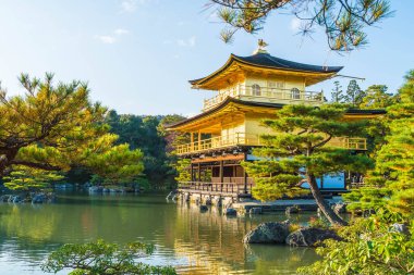 Kinkakuji Tapınağı (altın köşk güzel mimari)