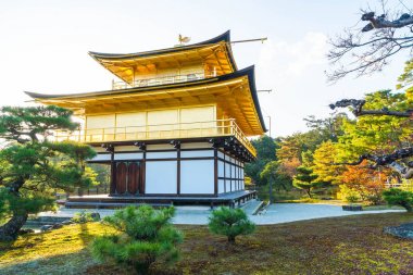 Kinkakuji Tapınağı (altın köşk güzel mimari)