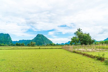  Vang Vieng alanlarda eski ev