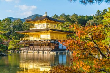 Kinkakuji Tapınağı (altın köşk güzel mimari)