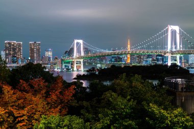 Tokyo siluetinin Tokyo kule ve Gökkuşağı Köprüsü ile. 