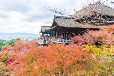 Kyoto, Sonbahar sezonu Kiyomizu veya Kiyomizu-dera Tapınağı.