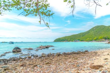 güzel tropikal beach Koh Larne Pattaya adlı