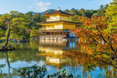 Kinkakuji Tapınağı (altın köşk güzel mimari)