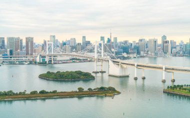 Tokyo siluetinin Tokyo kule ve Gökkuşağı Köprüsü ile. 