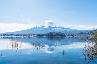 Dağ Fuji San Kawaguchiko Gölü.