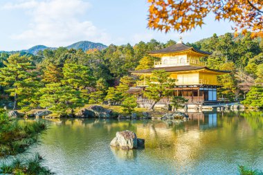 Kinkakuji Tapınağı (altın köşk güzel mimari)
