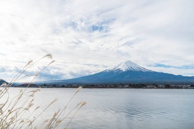Japonya 'daki Kawaguchiko Gölü' nde Fuji Dağı..