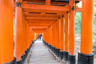 Kyoto - 24 Kasım 2016: Yakın ağ geçitleri Fushimi Inari Taisha Shr içinde