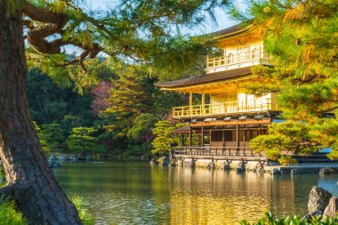 Kinkakuji Tapınağı (altın köşk güzel mimari)
