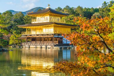 Kinkakuji Tapınağı (altın köşk güzel mimari)