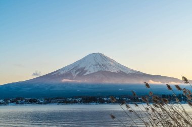 Dağ Fuji San Kawaguchiko Gölü.