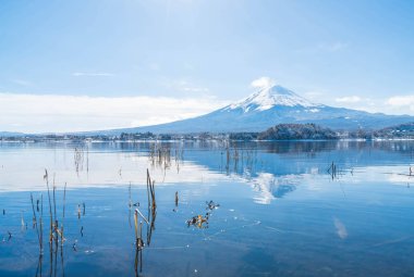 Dağ Fuji San Kawaguchiko Gölü.