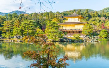 Kinkakuji Tapınağı (altın köşk güzel mimari)