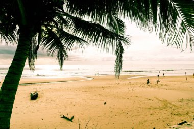 Hindistan cevizi ağacı ile tropikal plaj