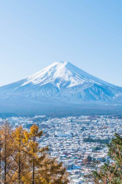 Kawaguchiko, dağ Fuji San