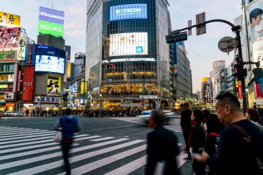 Tokyo, Japonya, 17 Kasım 2016: Shibuya Crossing, şehir sokak ile