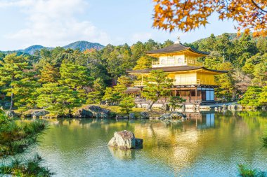 Kinkakuji Tapınağı (altın köşk güzel mimari)