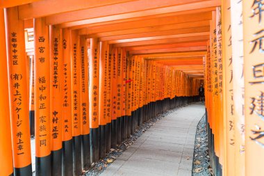 Kırmızı yakın gates geçit fushimi Inari taisha tapınak KY