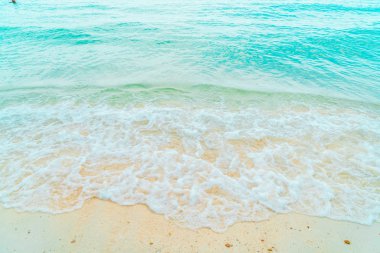 güzel tropikal plaj ve deniz manzara