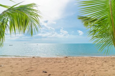 ile boş beach palm