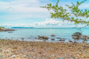 güzel tropikal beach Koh Larne Pattaya adlı