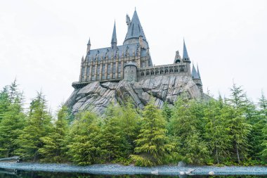 Osaka, Japonya - 21 Kasım 2016: Harry Potter ve büyücü dünya