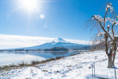 Dağ Fuji San Kawaguchiko Gölü.