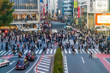 Tokyo, Japonya, 17 Kasım 2016: Shibuya Crossing, şehir sokak ile