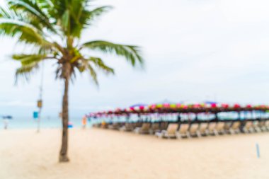 güzel hurma şemsiye ve deniz sandalyeye ile bulanıklık ve 