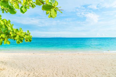 güzel tropikal plaj ve deniz manzara