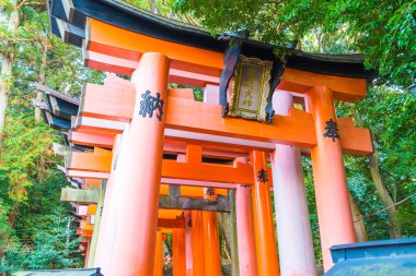 Kırmızı tori gate adlı fushimi Inari tapınak Kyoto, Japonya.