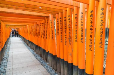 Kyoto - 24 Kasım 2016: Yakın ağ geçitleri Fushimi Inari Taisha Shr içinde