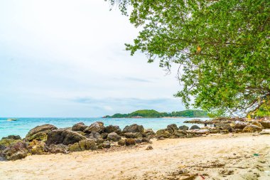 güzel tropikal beach Koh Larne Pattaya adlı