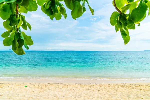 güzel tropikal plaj ve deniz manzara