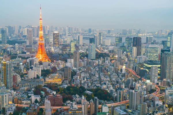 Tokyo city skyline with Tokyo Tower — Stock Photo, Image