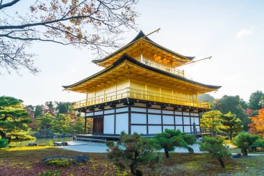 Kinkakuji Tapınağı (altın köşk güzel mimari)