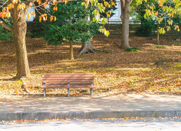 Sonbahar parkında tezgah.