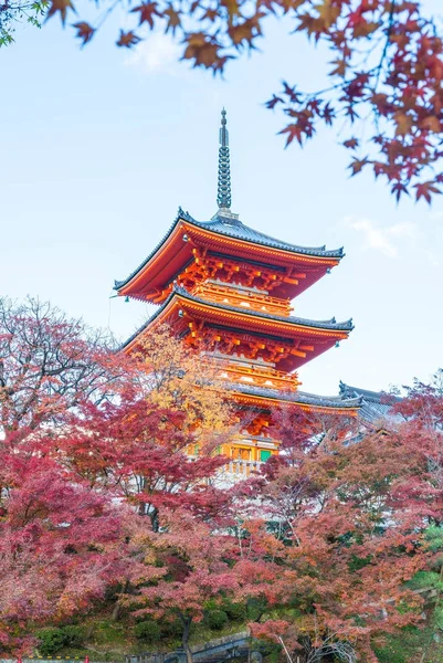 Kiyomizu-dera Tapınağı güzel mimari Kyoto,.