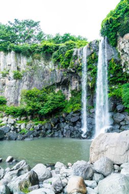 Jeongbang şelale jeju Adası