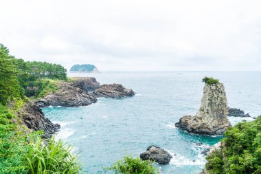 Jeju-do Oedolgae kaya (ünlü doğal landmark) Jeju Adası,