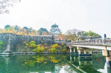 Osaka, Japonya - Kasım 20: Osaka Kalesi Park'ta kalabalık ziyaretçi. Ben