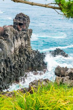 Jungmun Daepo sahil Jusangjeolli Cliff, Jeju Adası