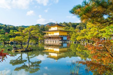 Kinkakuji Tapınağı (altın köşk güzel mimari)