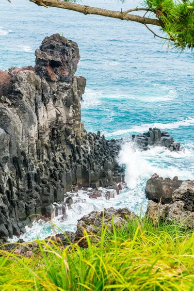 Jungmun Daepo sahil Jusangjeolli Cliff, Jeju Adası