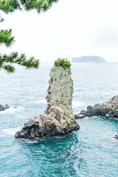 Jeju-do Oedolgae kaya (ünlü doğal landmark) Jeju Adası,