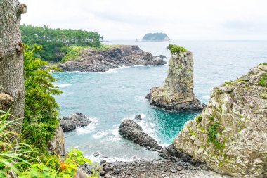 Jeju-do Oedolgae kaya (ünlü doğal landmark) Jeju Adası,