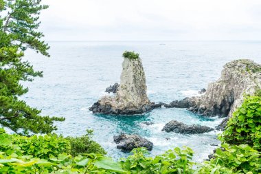 Jeju-do Oedolgae kaya (ünlü doğal landmark) Jeju Adası,